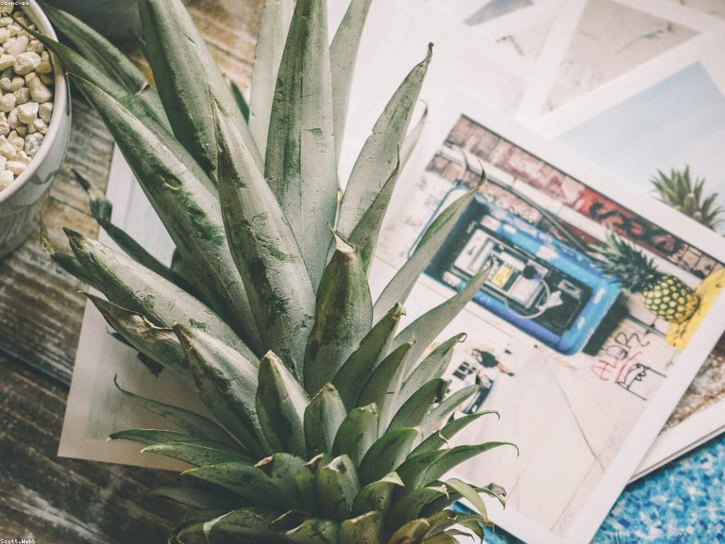 យុទ្ធសាស្ត្រនិងគន្លឹះសម្រាប់ទីផ្សារមាតិកា